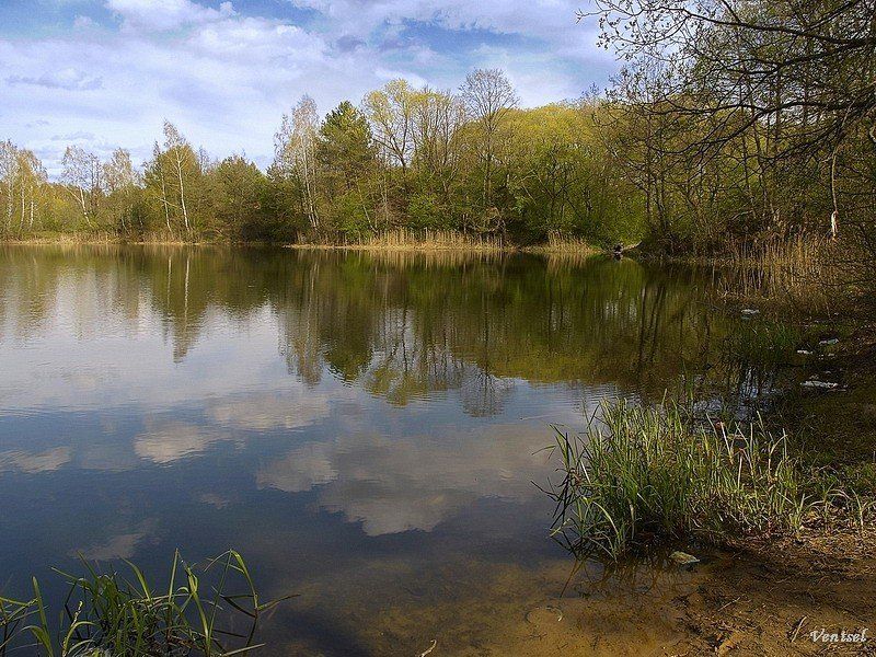 *** фото превью