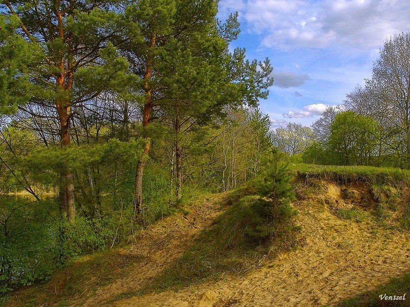 *** фото превью