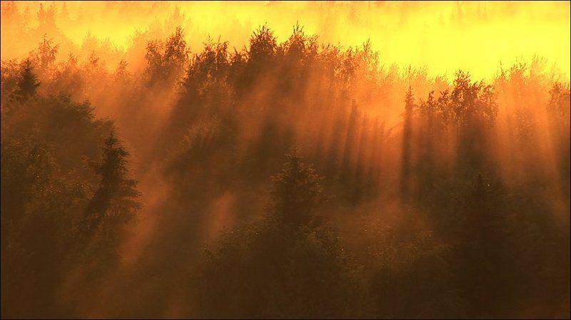 туман Огненный туман фото превью