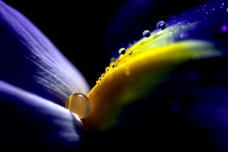 *** фото превью