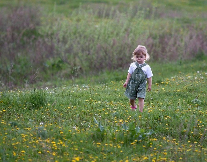 Обидели фото превью