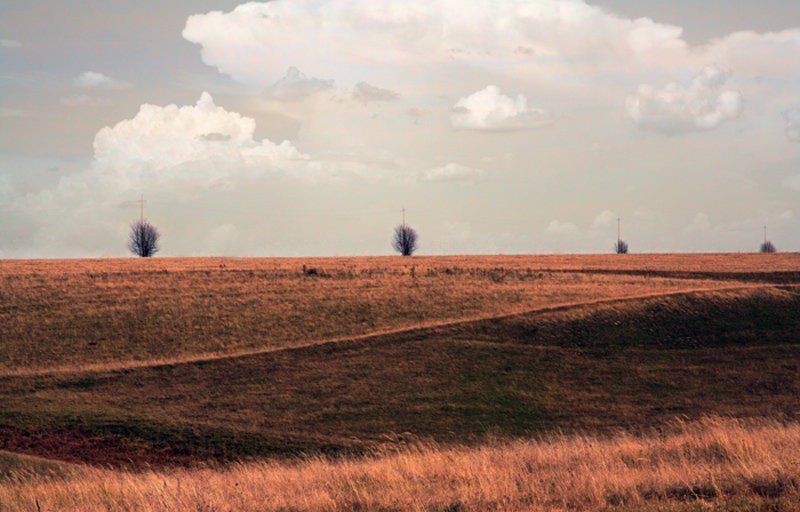 Там, где пели свиристели фото превью