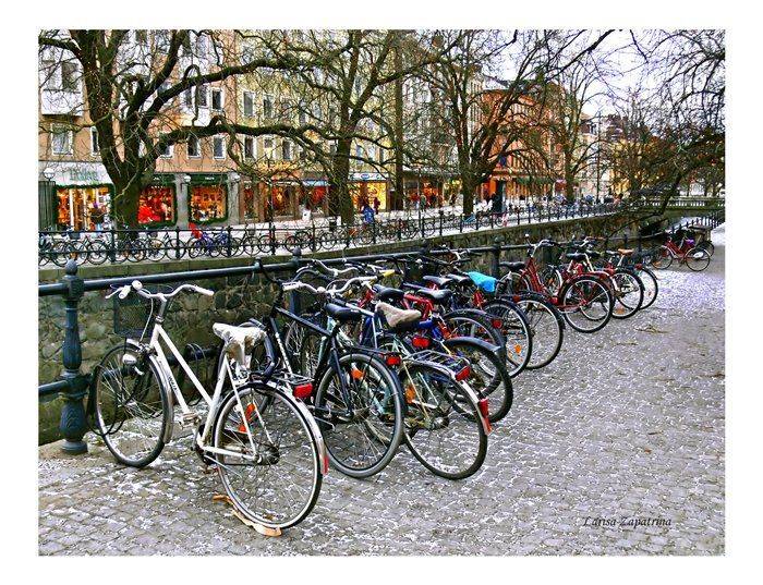 , Лариса Запатрина