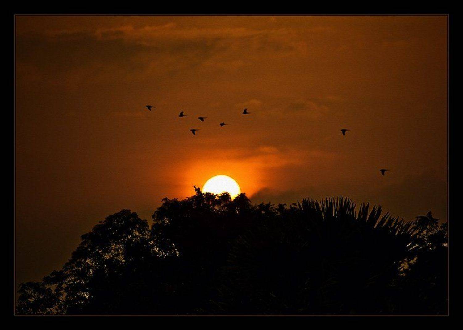 , Сергей Милицкий