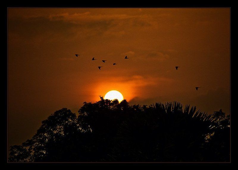 Закат фото превью