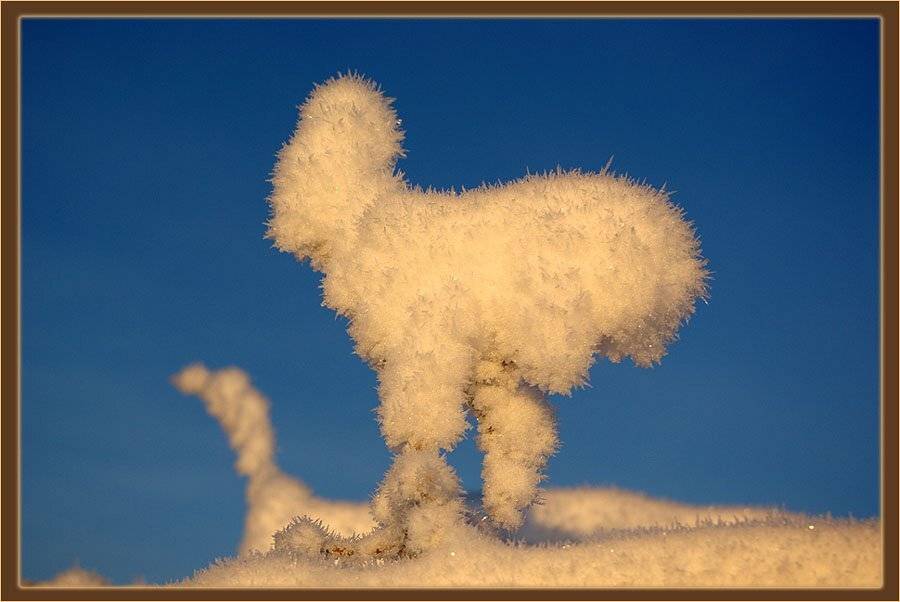 иней, Солодухин Виктор