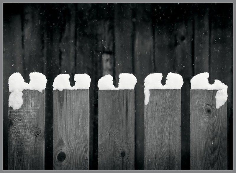 кариес фото превью