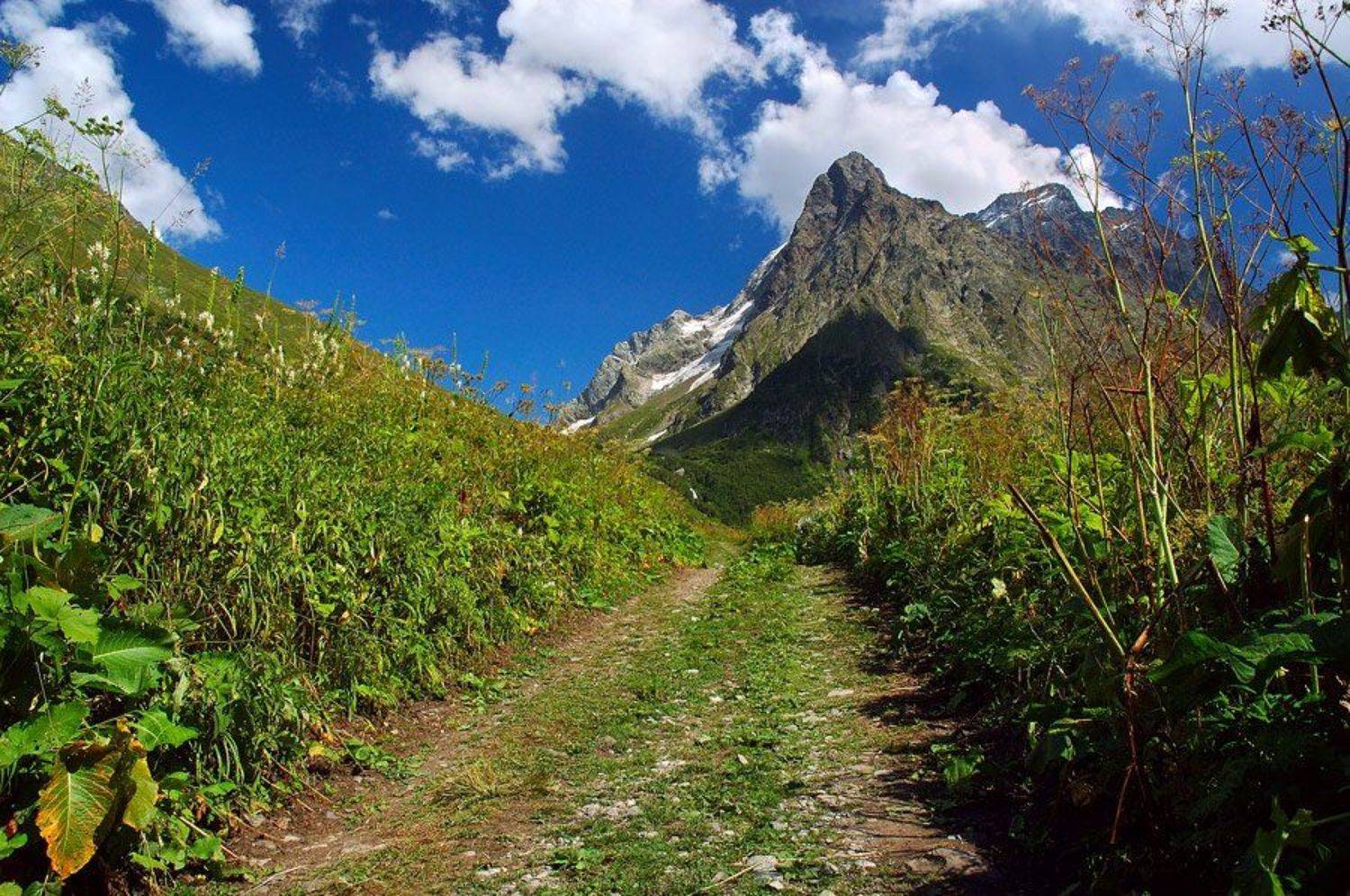 домбай, кавказ, Dmitriy Egorov