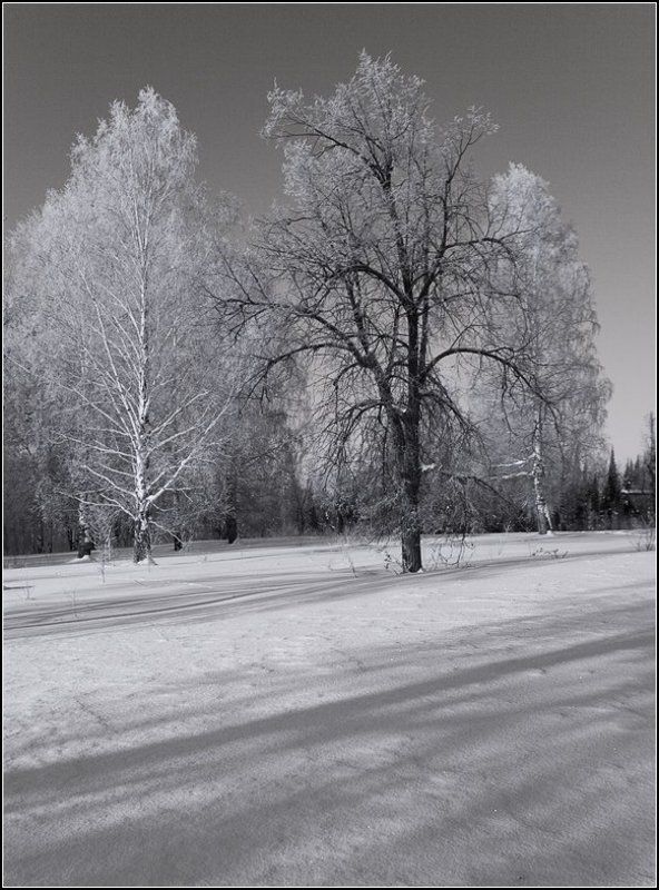 снеговые горы аша *** фото превью