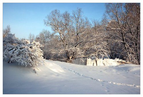 солнечный день