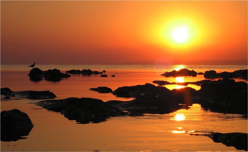 закат, море Еще один закат фото превью