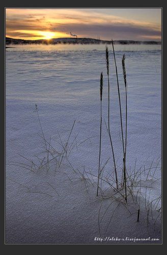 Про холод одиночества.