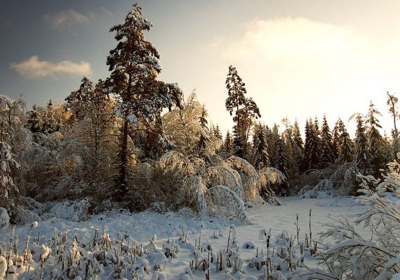 зимние зарисовки фото превью