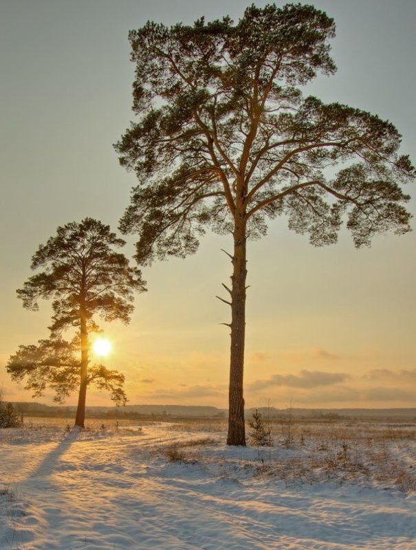 зимние зарисовки фото превью