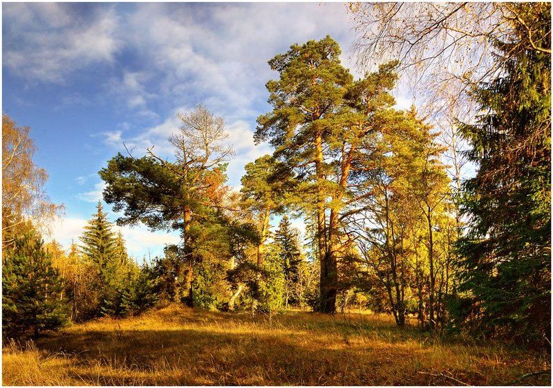 осенние зарисовки фото превью