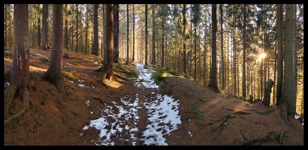 , Токарь Дмитрий