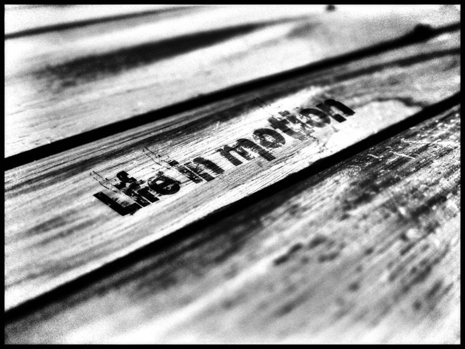 чб, макро, Roman RunoV