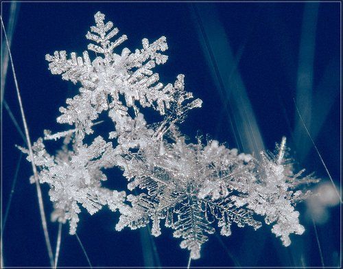 Небесные гости