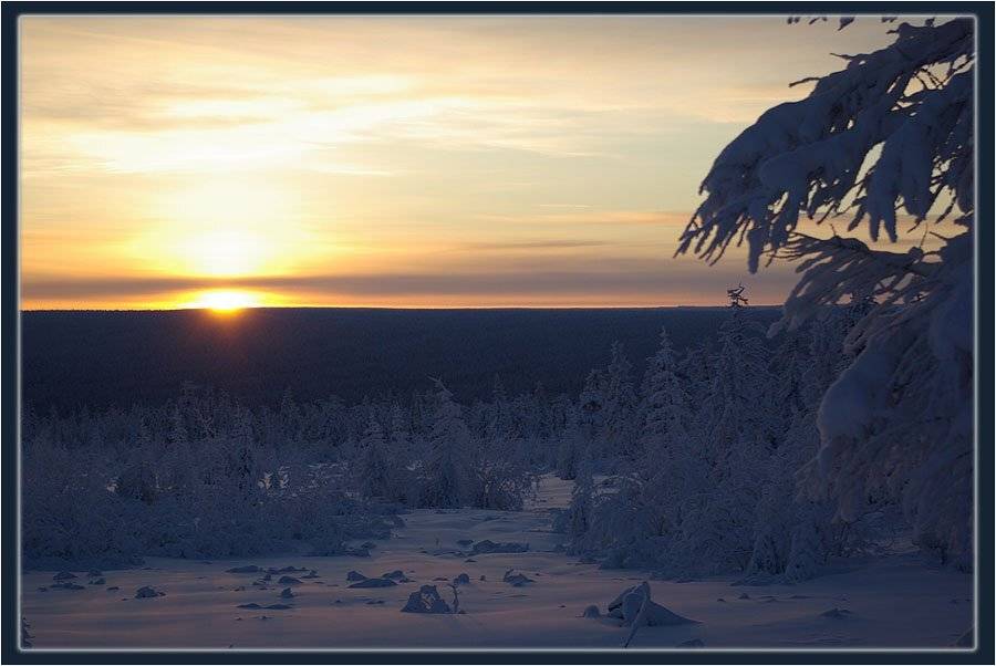 закат тайга зима, Солодухин Виктор