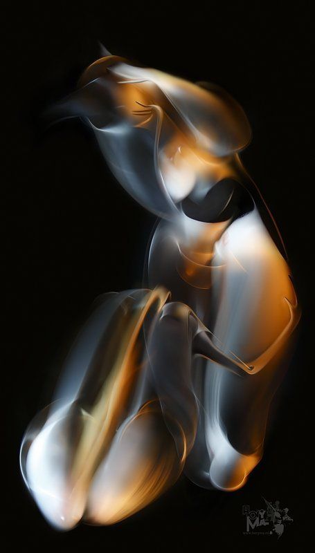 светографика, портрет, свет,  предметы, жанр, сюжет 7695  (Светографика 2008) фото превью