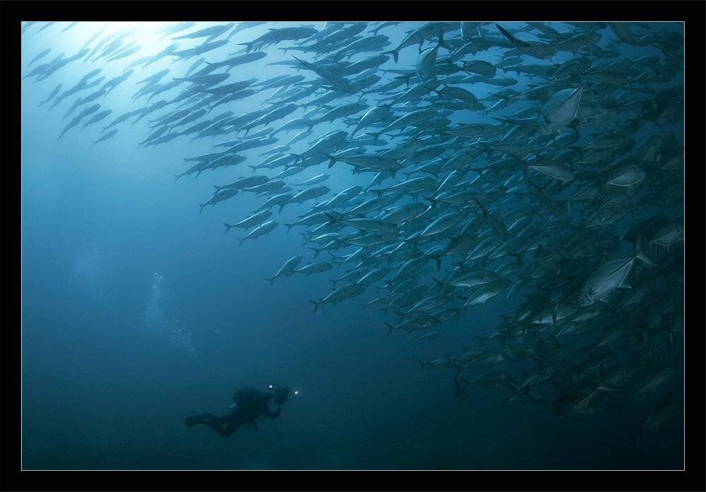 , Марина Кочетова