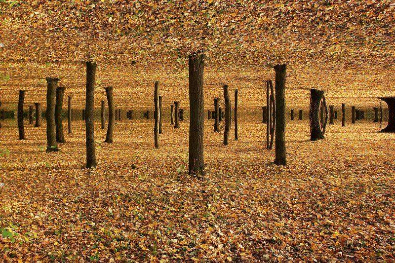 осень, фантазия., senjor