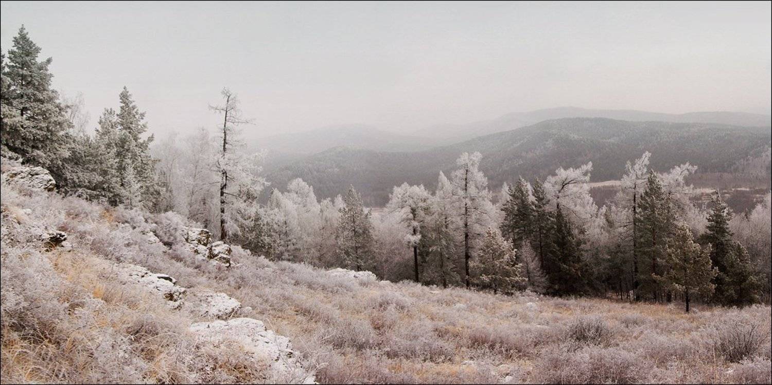 южный урал, ель, изморось, горы, зима, Ann Miller