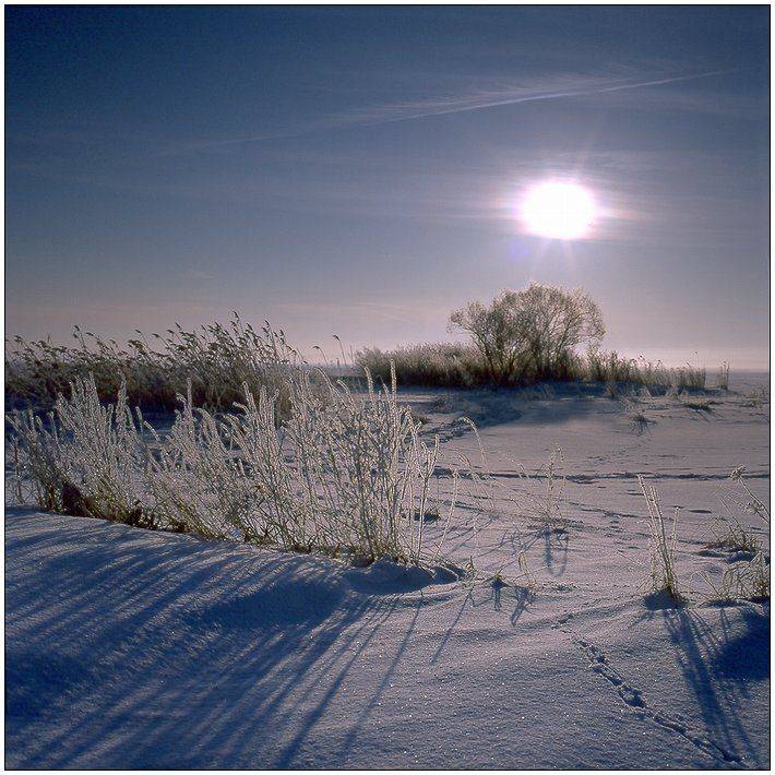 зима, лёд, снег, мороз, залив, солнце, иней, льдинки, Григорий Иващенко