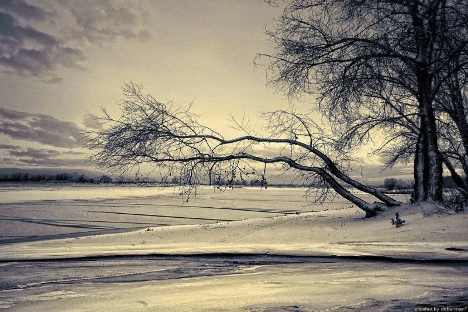 , Денис Богомолов