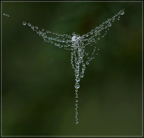 Подвеска на лапках маленькой ёлочки