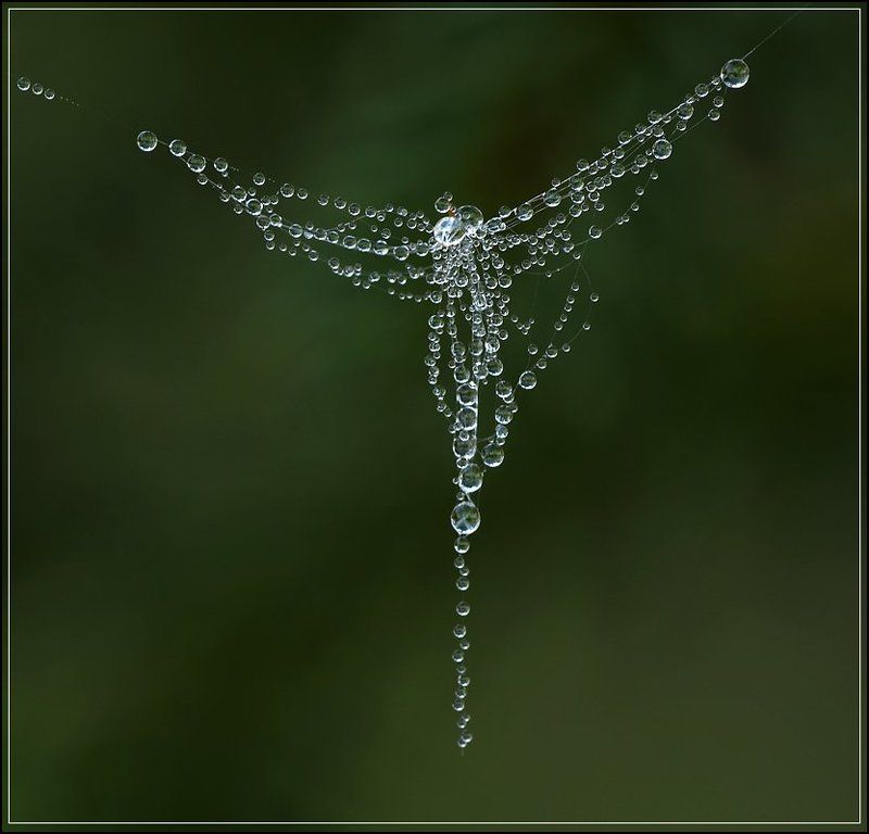 роса, пушинка, паутинка Подвеска на лапках маленькой ёлочки фото превью