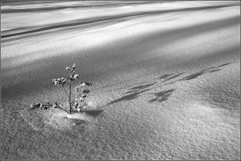 снеговые горы аша *** фото превью