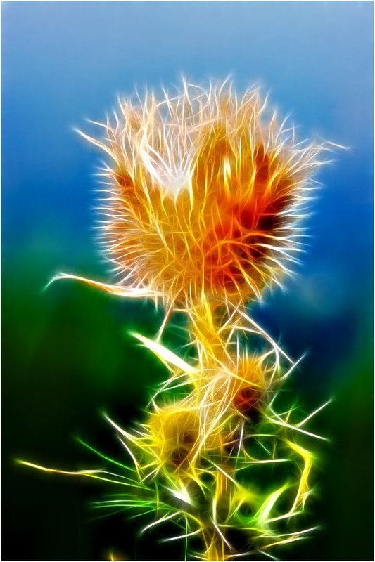 Светящаяся фото превью