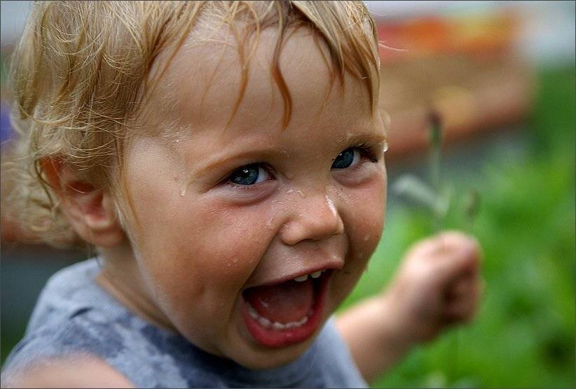 дети вечная тема, Eland