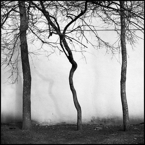 ... третий вовсе был дурак