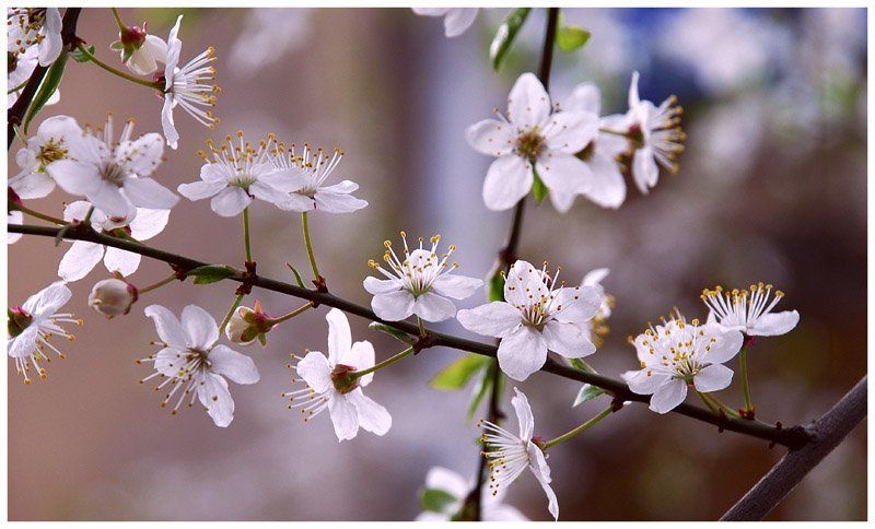 Немного из весеннего фото превью