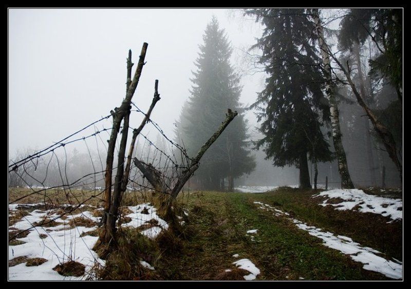 Туманная фото превью