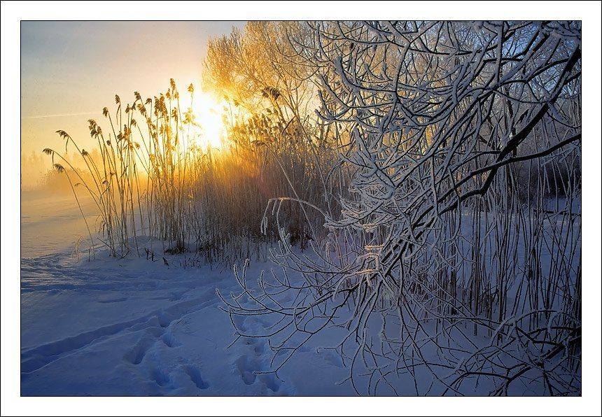 зима, лёд, снег, мороз, залив, солнце, иней, льдинки, Григорий Иващенко