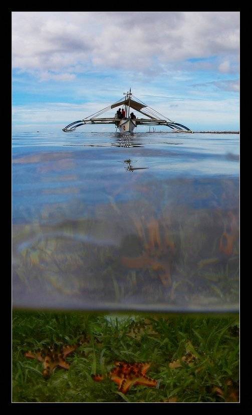 , Марина Кочетова