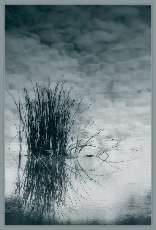 небо, вода, трава Лукоморья больше нет... фото превью