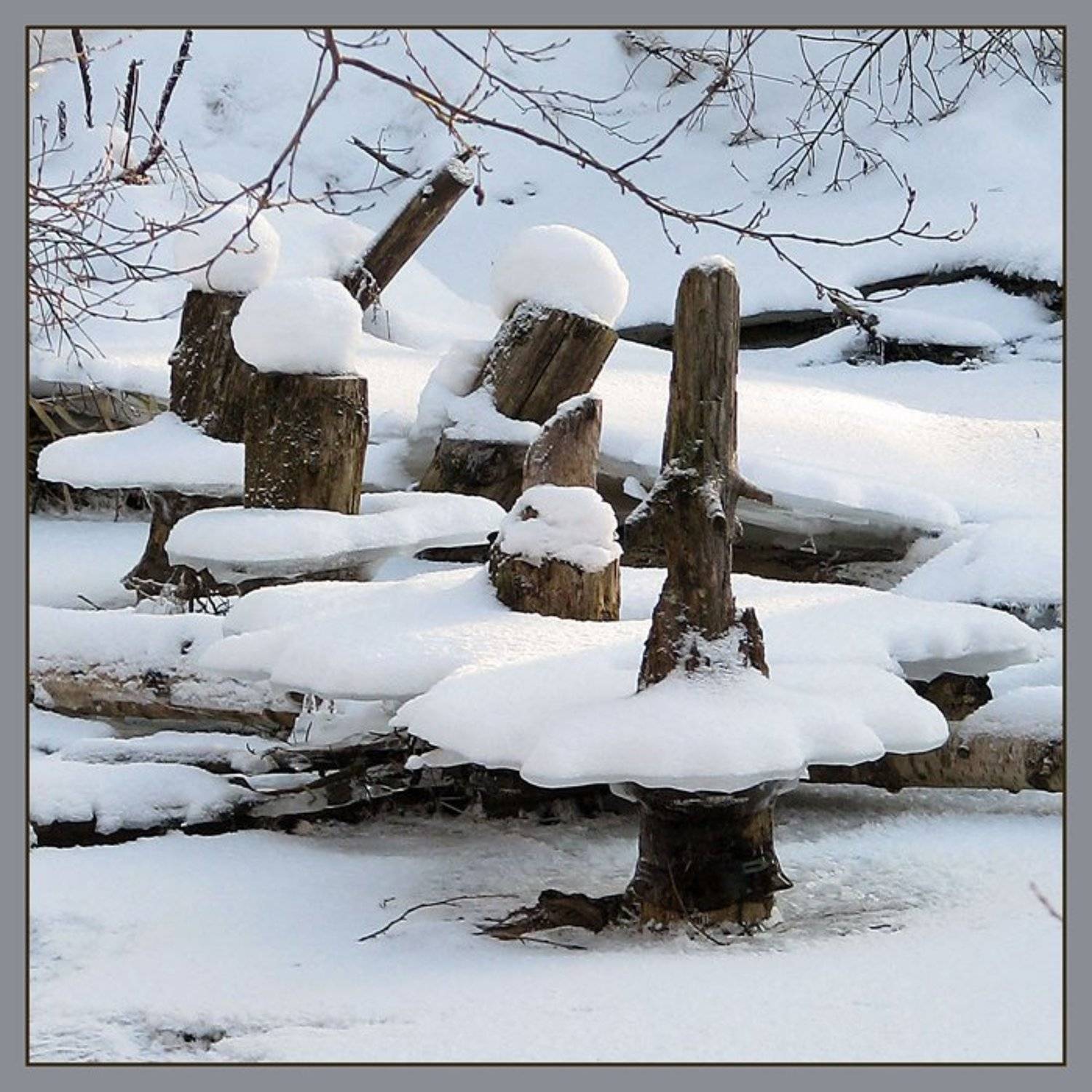 зима, лес, балерины, танец, Olga Panteleeva