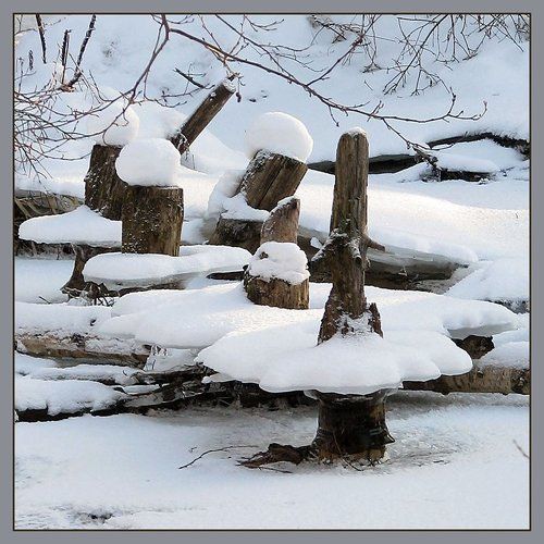 Танец белых лебедей!