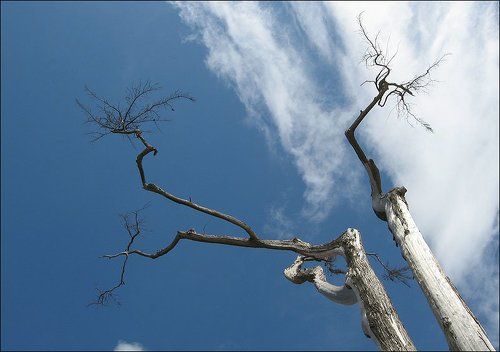 Вот такой вот иероглиф!