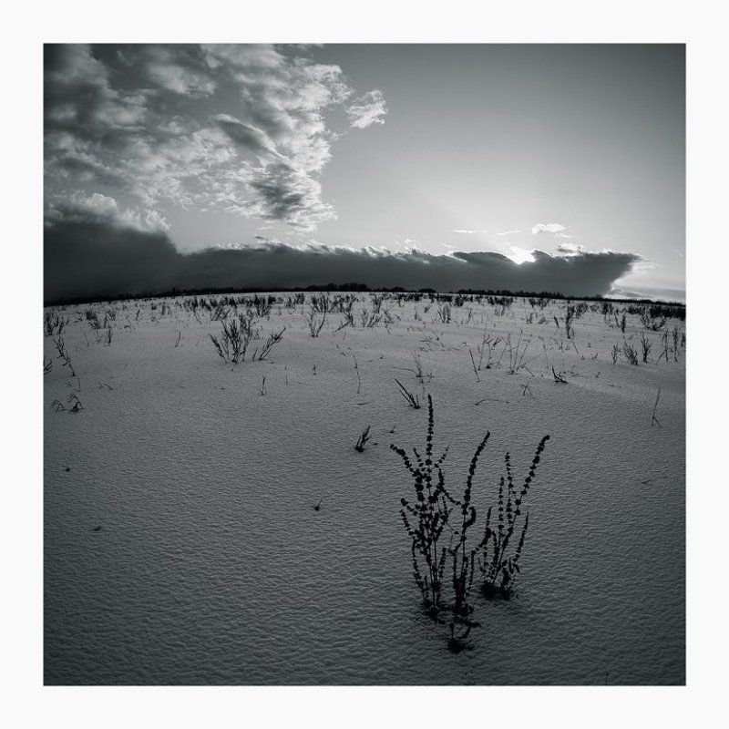 полем... фото превью