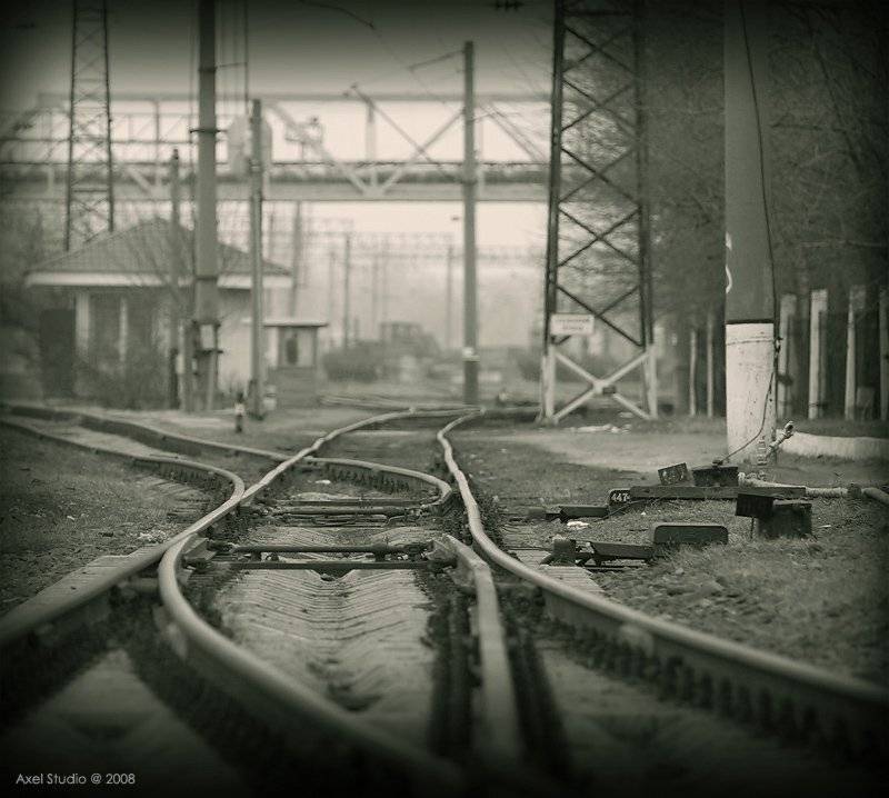 , Alex Vasilenko