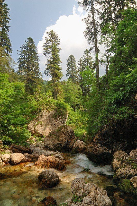 горы, река, пороги, нехоженные тропы там, на невидимых дорожках... фото превью