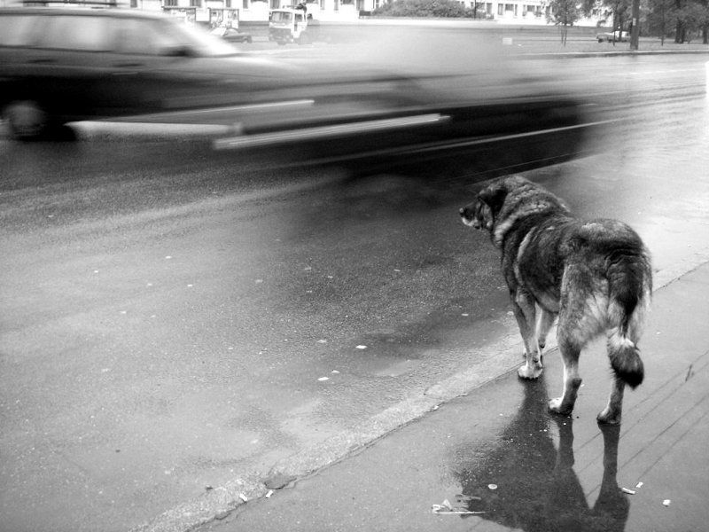 космос фото превью