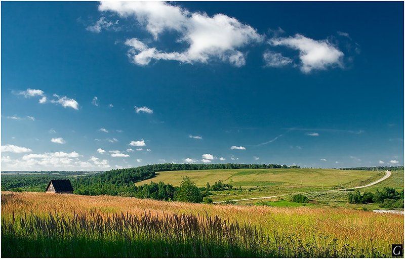 лето, смоленская, губерния Ах, лето!  _1 фото превью