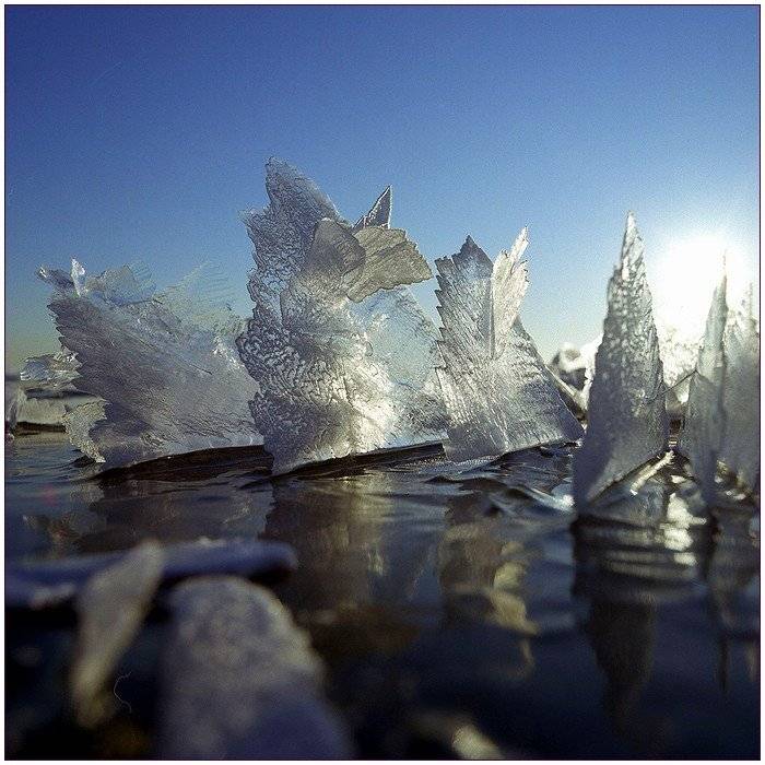 зима, лёд, залив, мороз,иней, свет, Григорий Иващенко