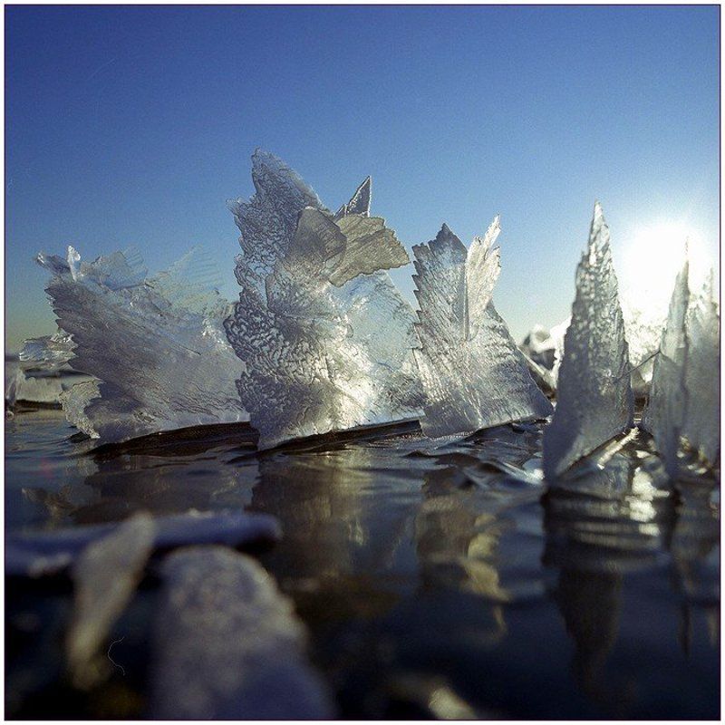 Хрустальная регата #4 фото превью